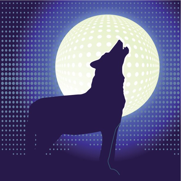 孤独的狼图片下载