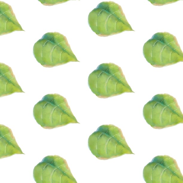 自然叶图案背景。图案有机植物设计图案。图片下载