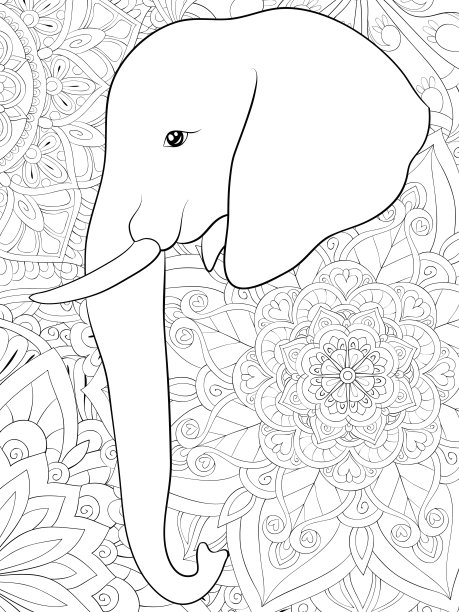 成人涂色书，页一个可爱的大象图片放松。禅图片下载