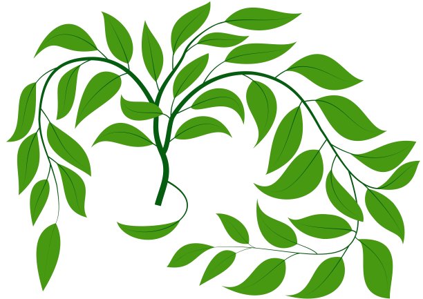 绿色的树枝图片下载