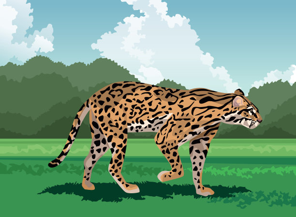 野地豹兽图片下载