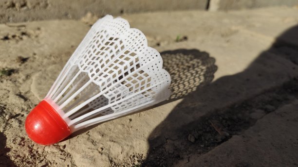 羽毛球图片下载