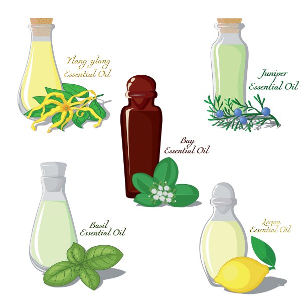 精油图解图片下载