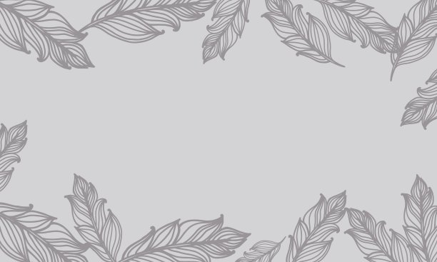 可爱的背景与羽毛。向量卡设计与波希米亚风格的边界。图片下载