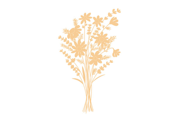 家中盆栽和花卉背景图片下载