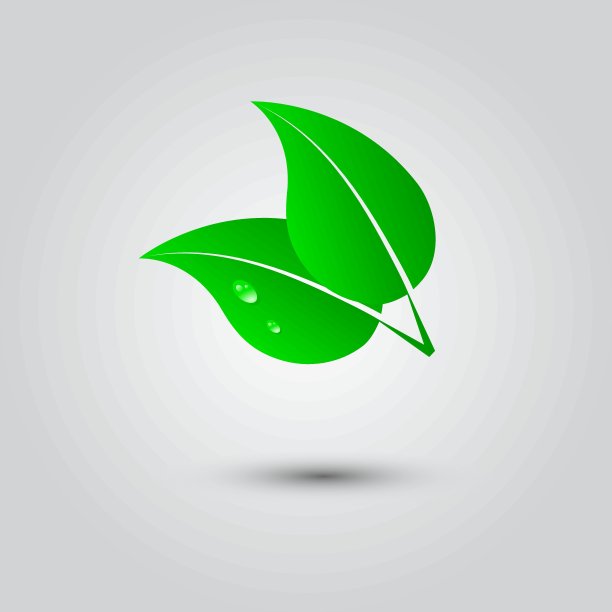 叶子和水滴的插图图片下载