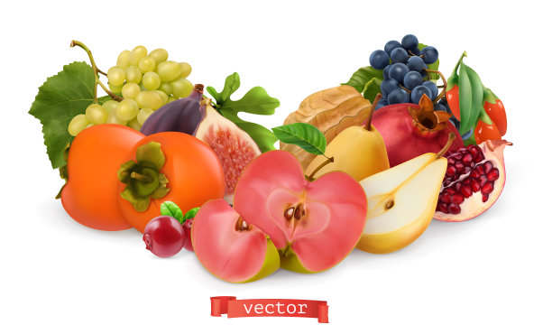 秋天的水果和浆果。梨、粉苹果、白甜葡萄、酒葡萄、无花果、枸杞、柿子、石榴。三维真实感矢量图图片下载
