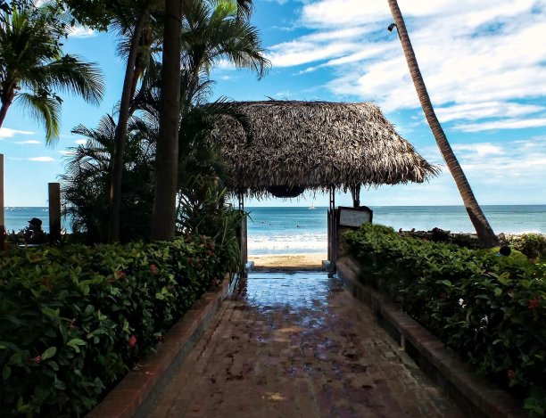 纯粹的生活图片下载