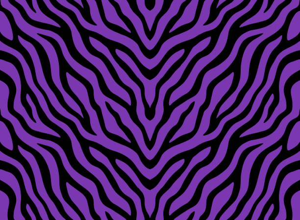 斑马条纹无缝图案。虎纹皮纹设计。野生动物隐藏艺术品背景。黑色和紫色矢量插图图片下载
