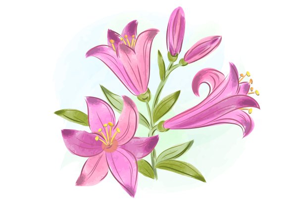 漂亮的礼品卡粉红色的水彩花图片下载