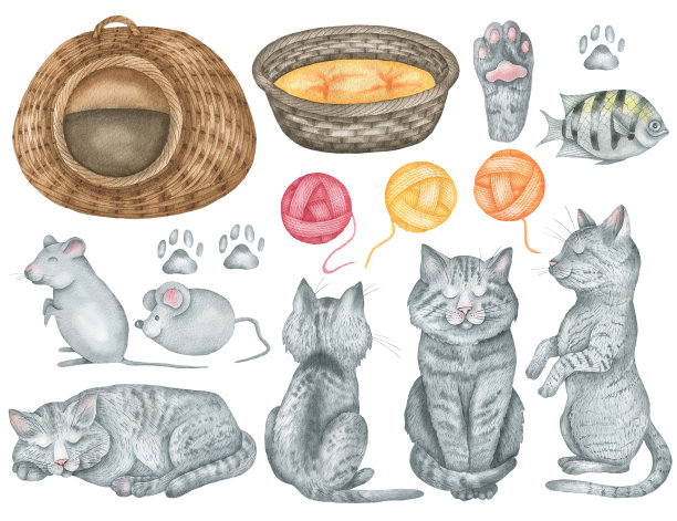 设置所有的猫。jpg图片下载