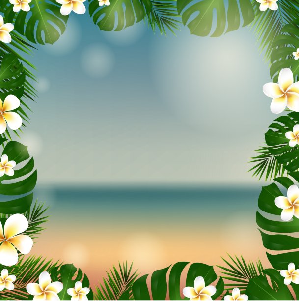 框架棕榈树和鸡蛋花图片下载