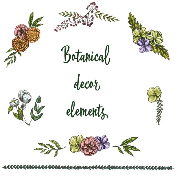 一套手绘复古装饰元素孤立的白色背景。装饰性的花和叶。矢量图图片下载