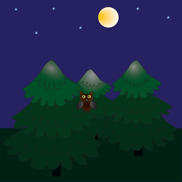 夜森林和满月。图片下载