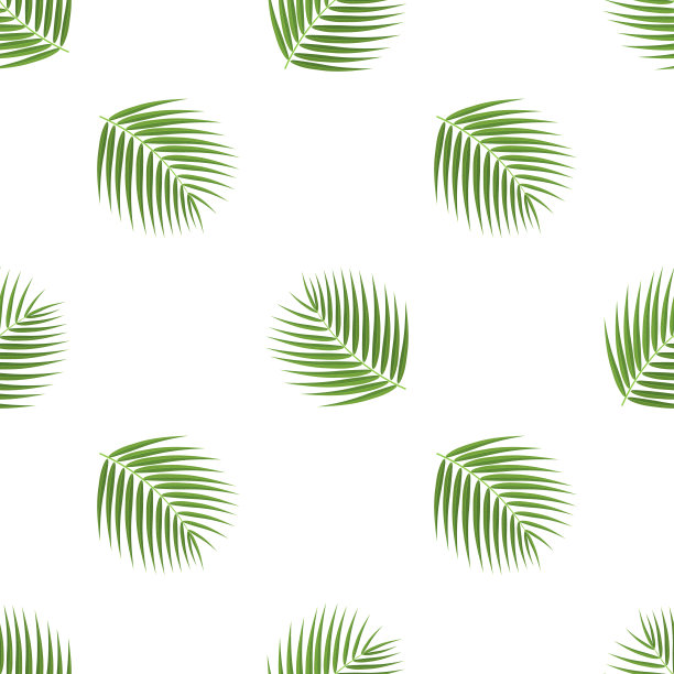 无缝图案与卡通详细的异国情调椰子叶在白色的背景。矢量插图为任何设计。图片下载