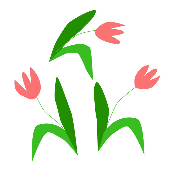 三朵粉色的郁金香手绘成简单的平面。图片下载