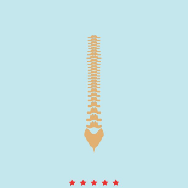 人的脊柱是偶像。图片下载