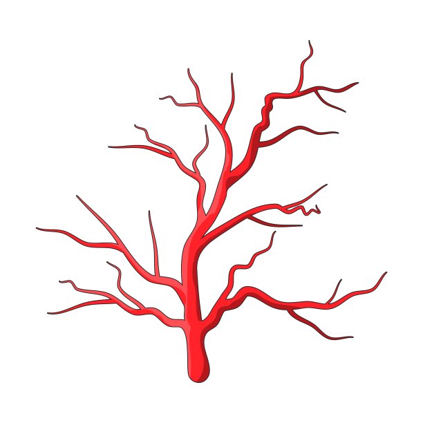 眼静脉轮廓矢量符号图标设计。图片下载