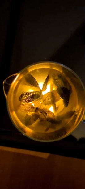 在家喝茶——姜，薄荷和青柠图片下载