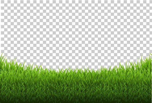 草地全景透明背景图片下载