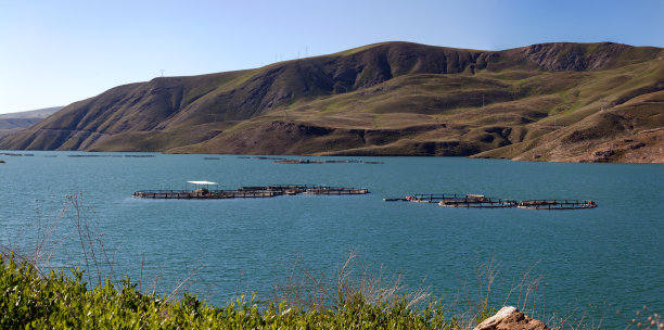 土耳其凡湖的养鱼场图片下载