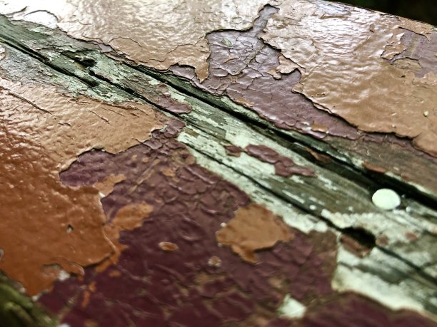 风化木材的油漆剥落图片下载