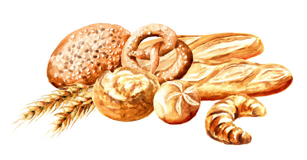 带麦穗的新鲜烘焙食品。手绘水彩，插图孤立的白色背景素材图片