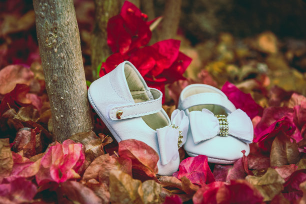 天使的脚图片下载