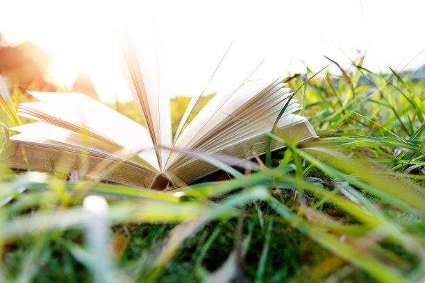 在草地上打开书图片下载