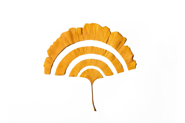 Wi-fi叶子符号图片下载