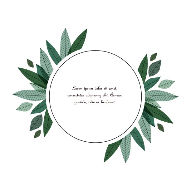 自然装饰的叶子图片下载