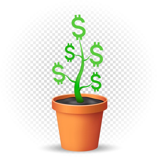 美元植物生长在花盆里图片下载