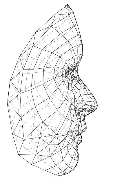 线框抽象人脸图片下载