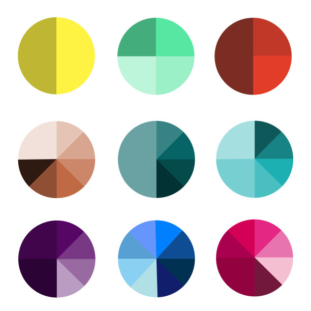 彩色的圆圈分成不同的部分图片下载