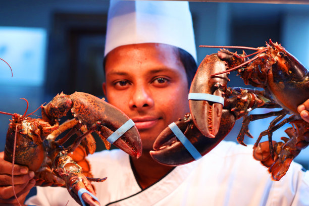 年轻的厨师拿着活的缅因州龙虾，海鲜小龙虾图片下载
