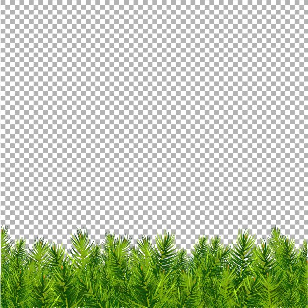 圣诞树边界透明背景图片下载