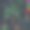 时尚的信息图与一棵树的特定设计和地方的文本。向量图片下载