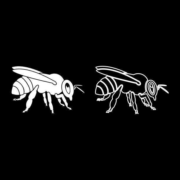 蜜蜂图标设置白色插画平面风格简单的形象图片下载