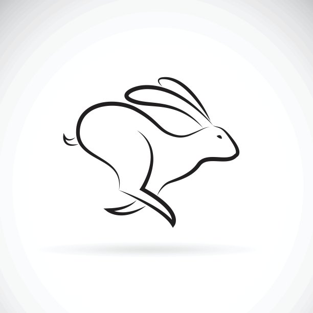 兔子矢量在白色背景上运行。野生动物。B图片下载