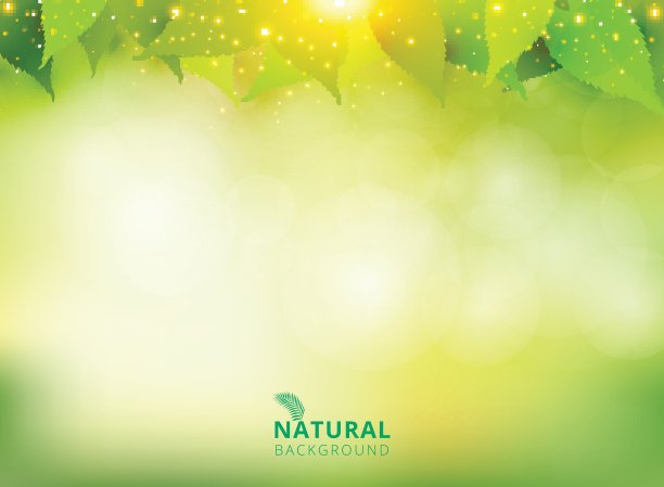 春夏自然的绿色背景与树叶和灯光图片下载