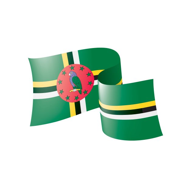 多米尼加国旗，白色背景上的矢量插图图片下载