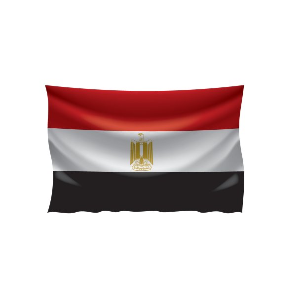 埃及国旗，矢量插图在白色的背景图片下载