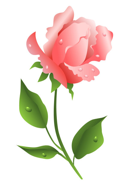 美丽的粉红玫瑰，矢量插图图片下载