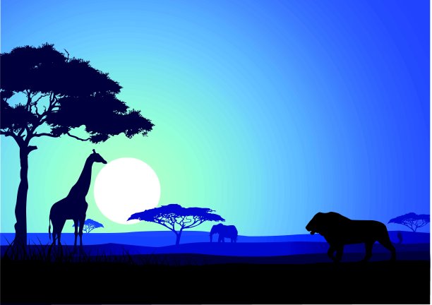 Safari背景图片下载