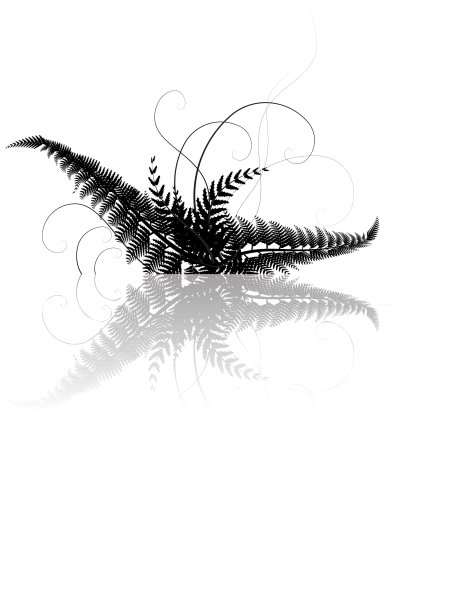 花的背景图片下载