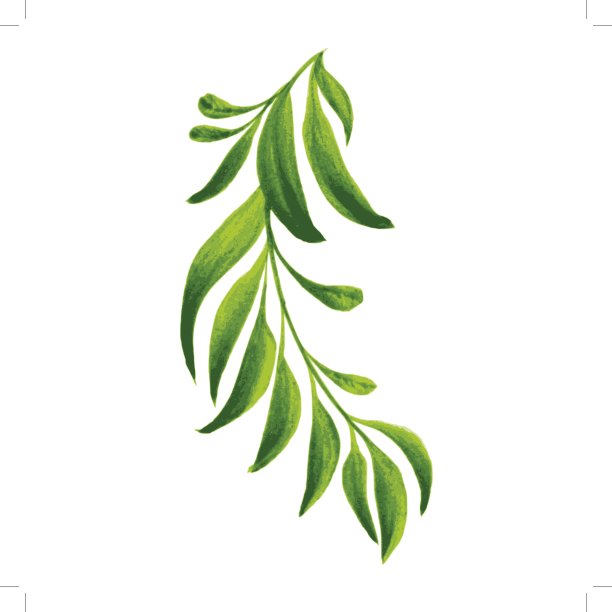 用绿叶装饰树枝图片下载