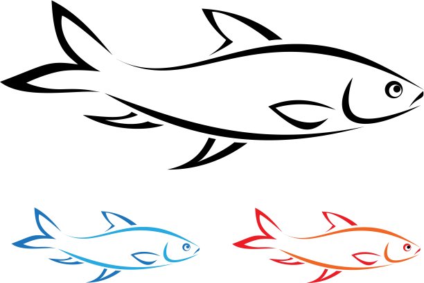 鱼的矢量图像图片下载