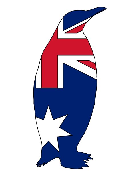 企鹅澳大利亚图片下载