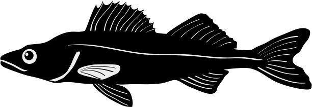 派克的轮廓图片下载