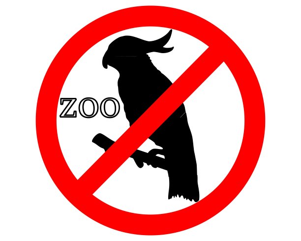 动物园禁止凤头鹦鹉图片下载